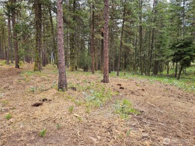 0 Muledeer Road , East Wenatchee, WA 98802 - Photo 23