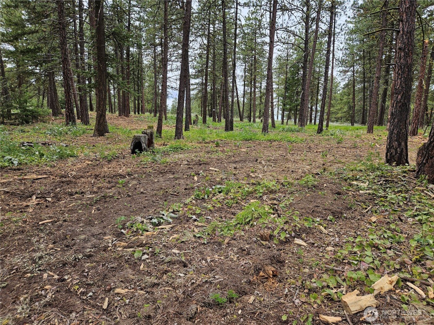 0 Muledeer Road , East Wenatchee, WA 98802