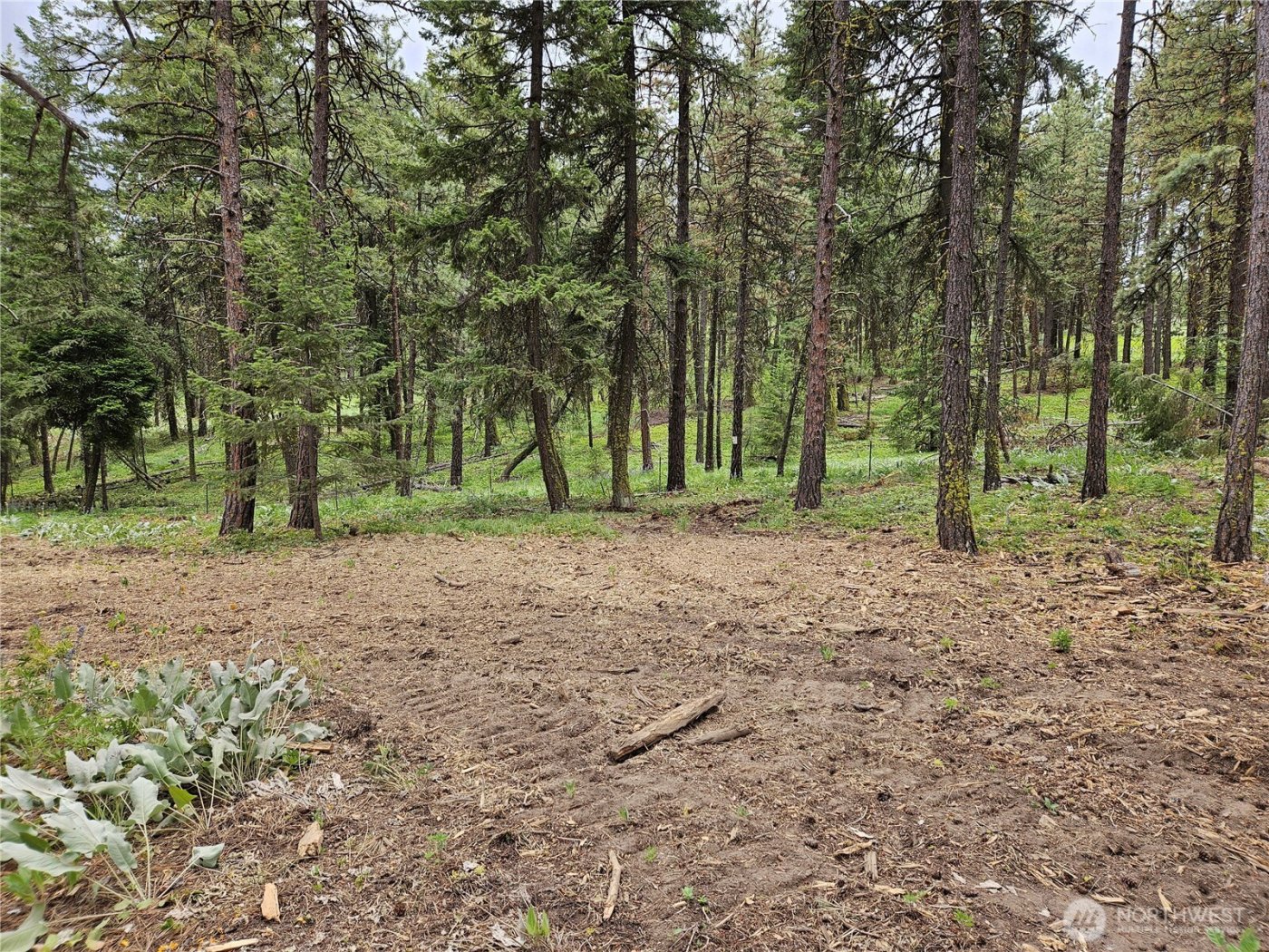 0 Muledeer Road , East Wenatchee, WA 98802