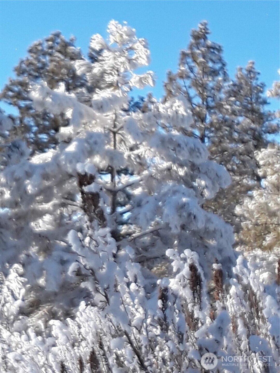 0 Muledeer Road , East Wenatchee, WA 98802