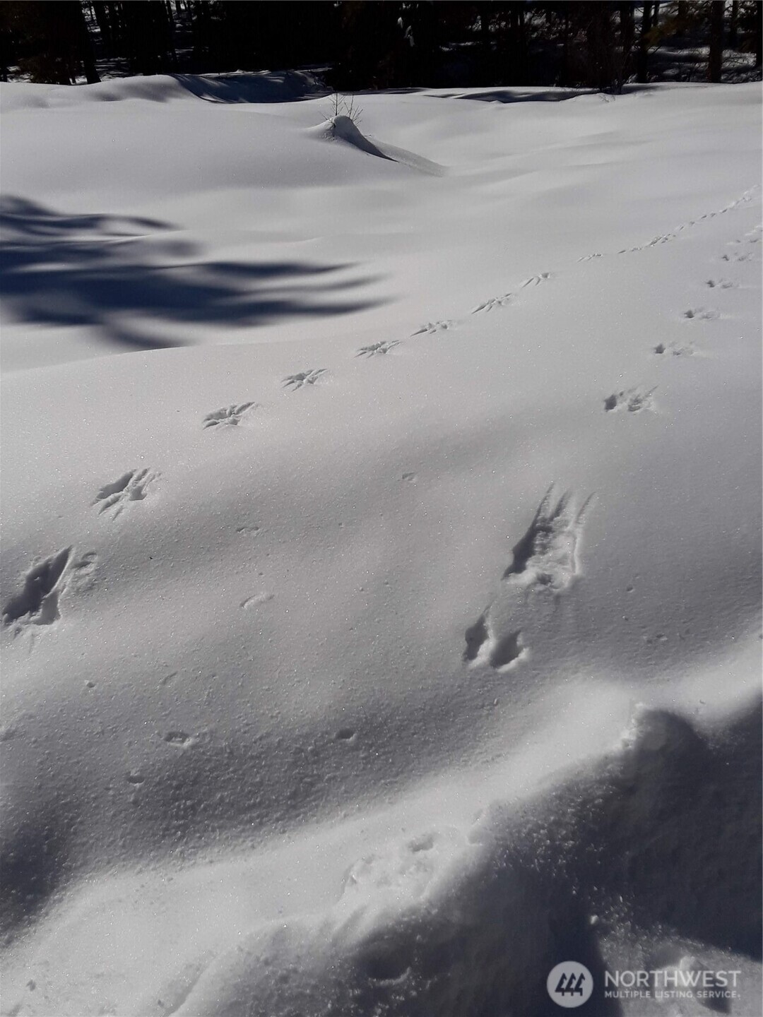 0 Muledeer Road , East Wenatchee, WA 98802