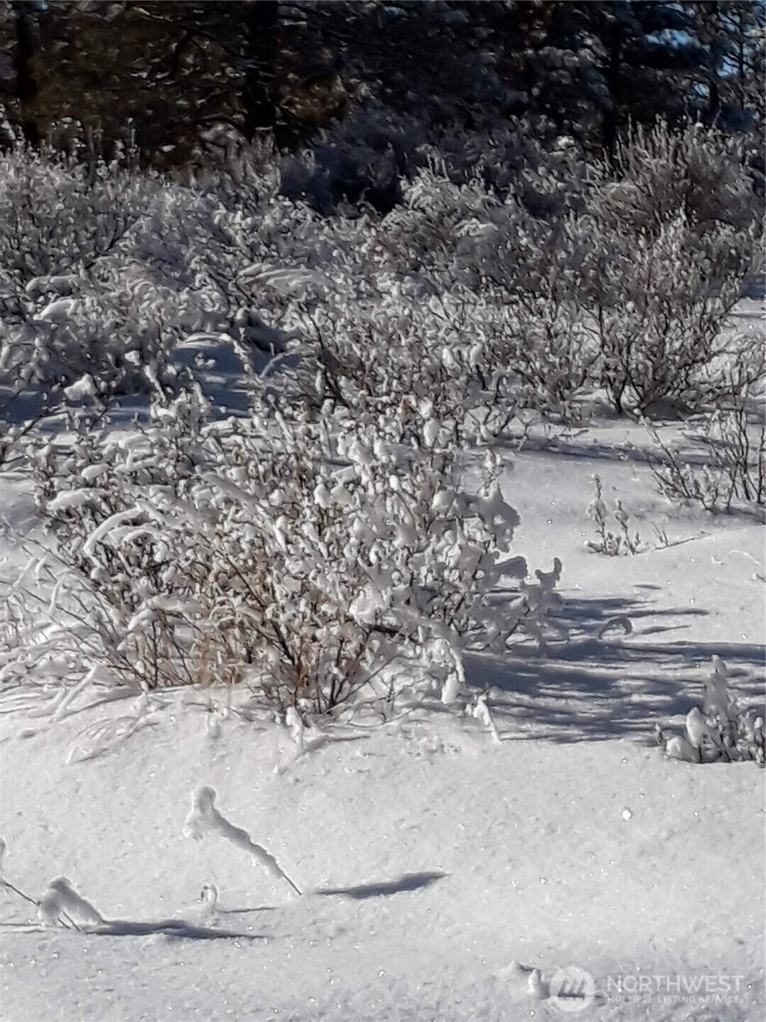 0 Muledeer Road , East Wenatchee, WA 98802