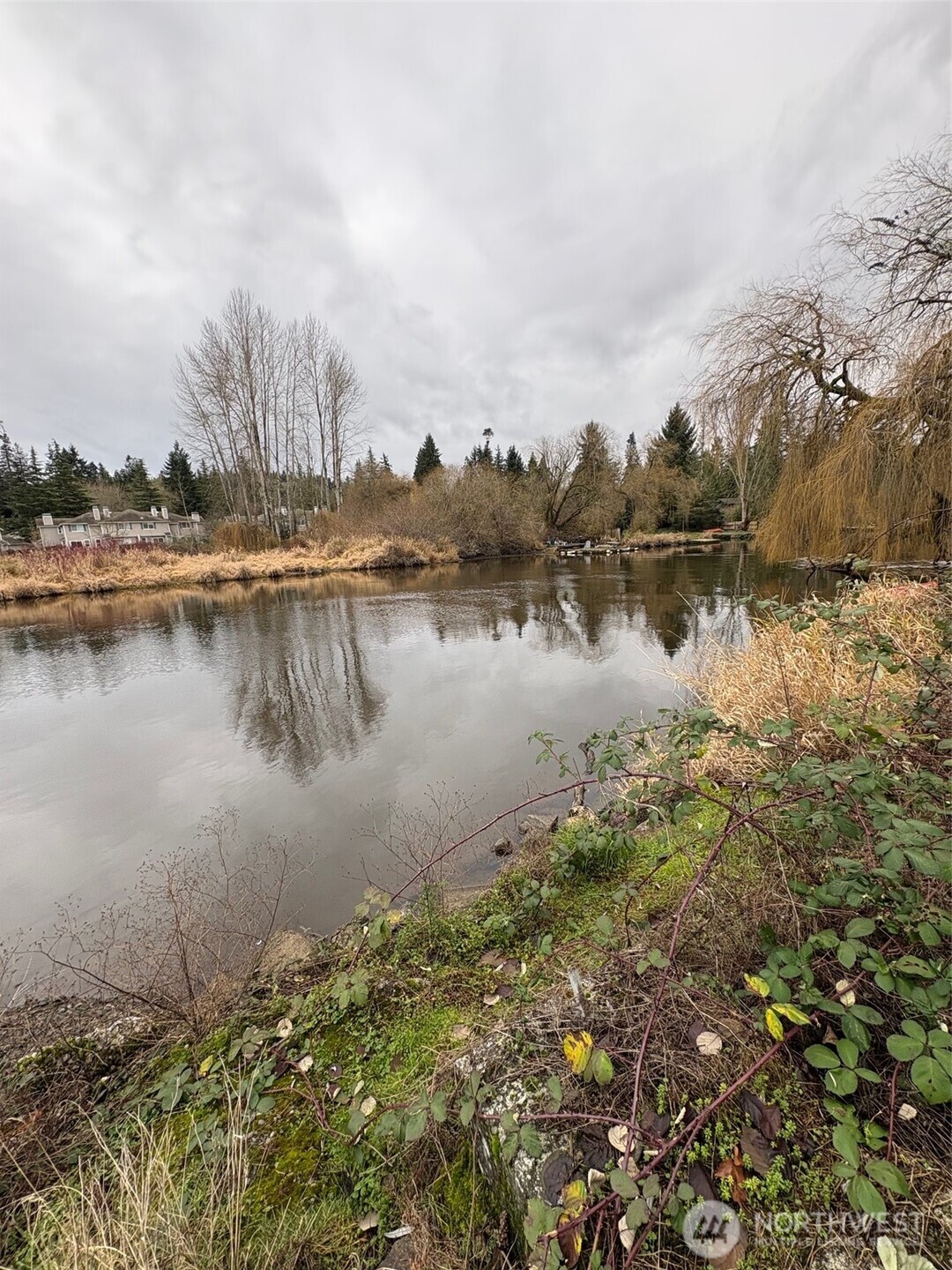 7031 NE 175th Street #5, Kenmore, WA 98028