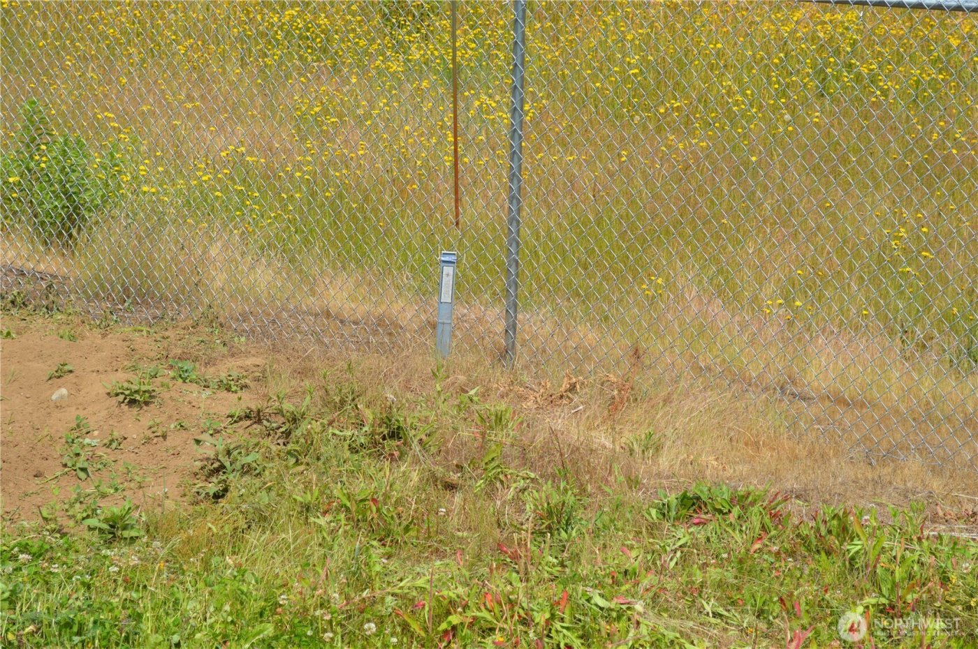 1340 Kamm Road , Lynden, WA 98264