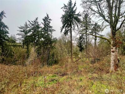 0 Edgewater Drive SW, Lakewood, WA 98499