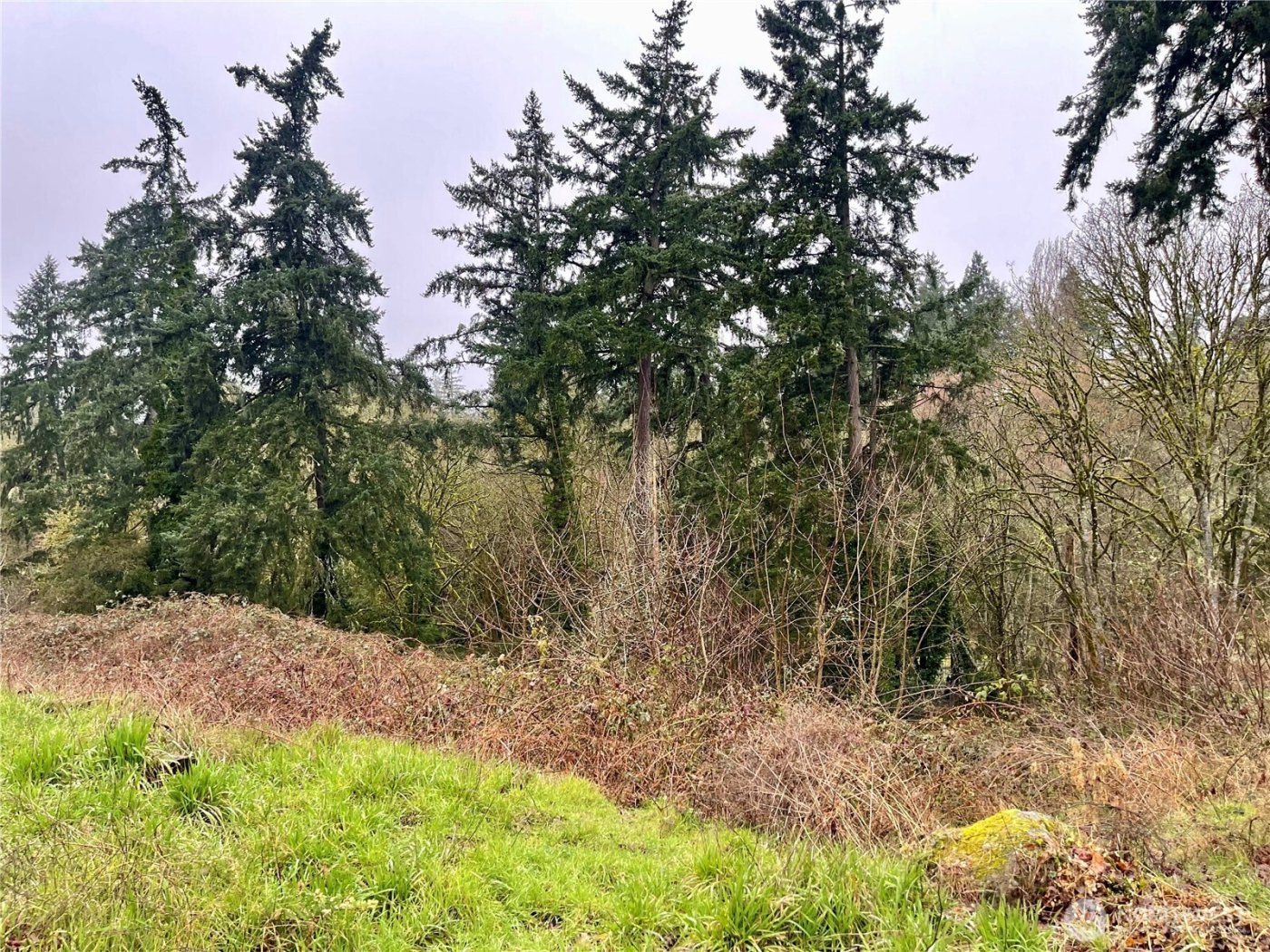 0 Edgewater Drive SW, Lakewood, WA 98499