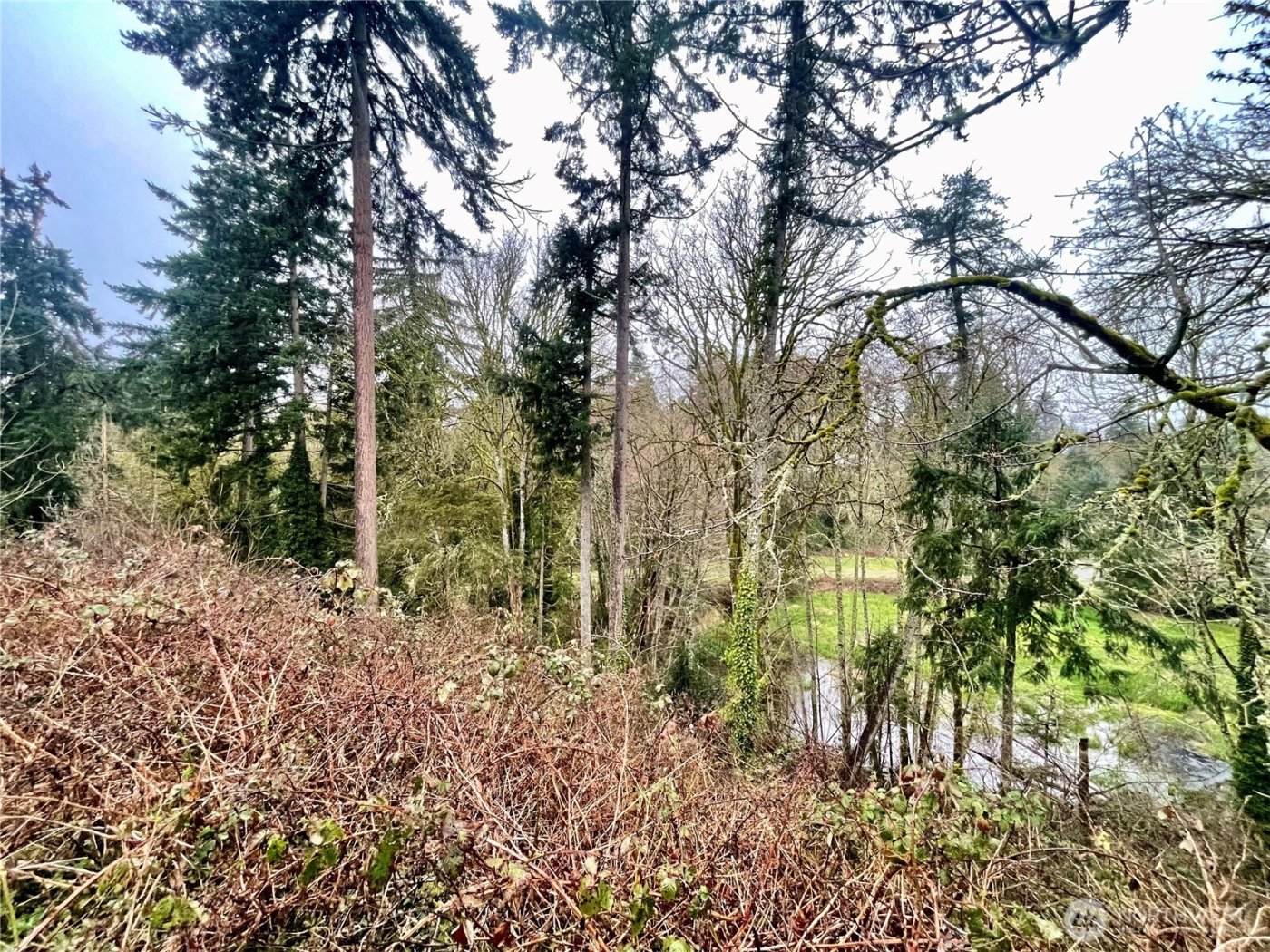 0 Edgewater Drive SW, Lakewood, WA 98499