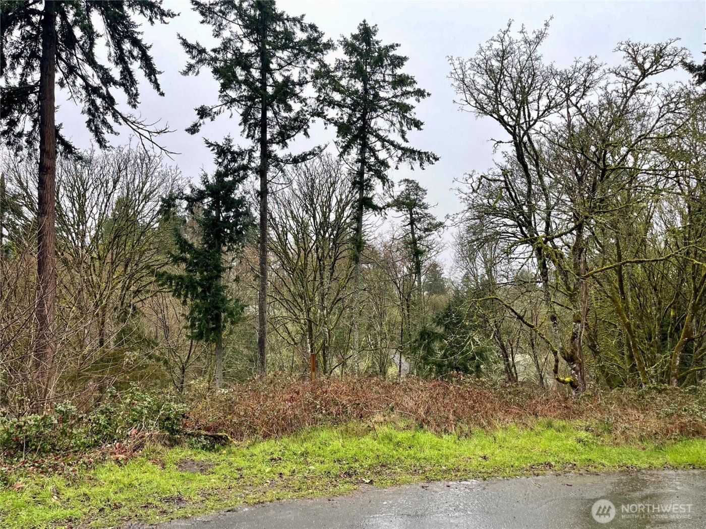 0 Edgewater Drive SW, Lakewood, WA 98499