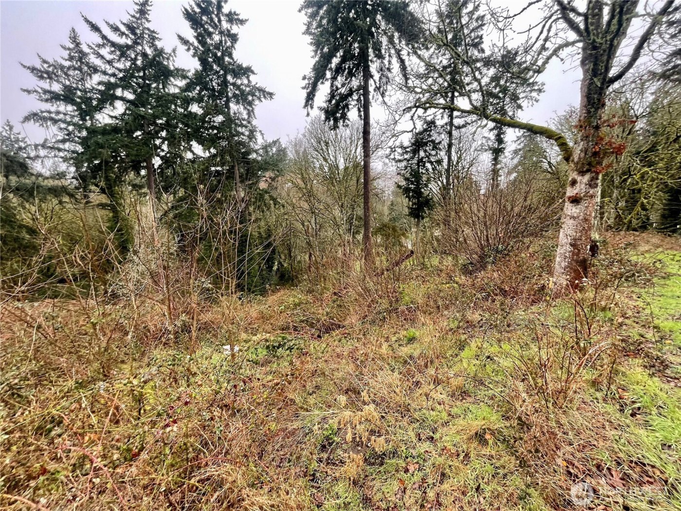 0 Edgewater Drive SW, Lakewood, WA 98499