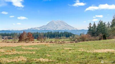 2313 420th Street E, Eatonville, WA 98328 - Photo 17