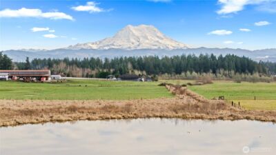 2313 420th Street E, Eatonville, WA 98328 - Photo 25