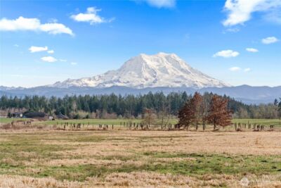 2313 420th Street E, Eatonville, WA 98328 - Photo 3