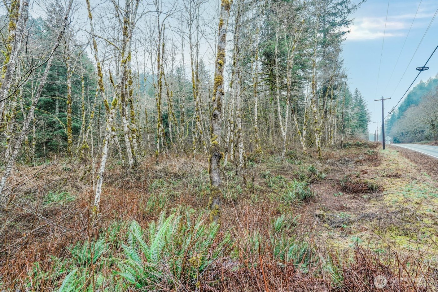 0 Washougal River Road , Washougal, WA 98671