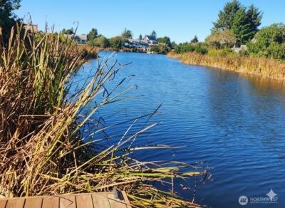 332 Cockle Street SW, Ocean Shores, WA 98569 - Photo 27