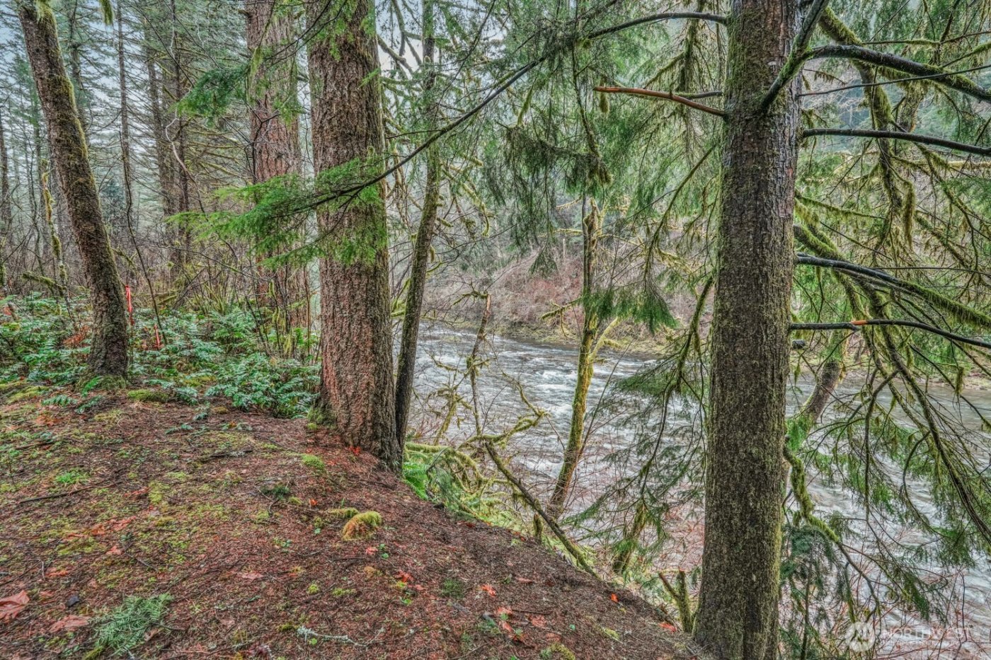 15202 Washougal River Road , Washougal, WA 98671