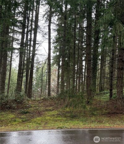 22020 Clearlake Boulevard SE, Yelm, WA 98597 - Photo 2