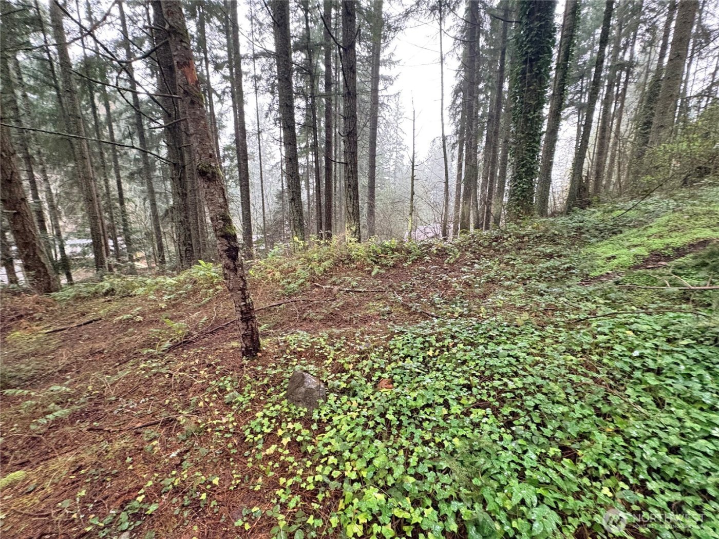 22020 Clearlake Boulevard SE, Yelm, WA 98597