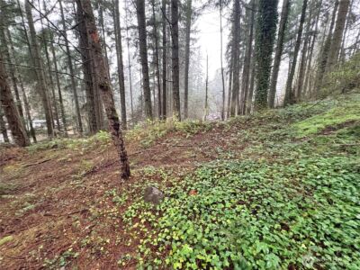 22020 Clearlake Boulevard SE, Yelm, WA 98597 - Photo 3