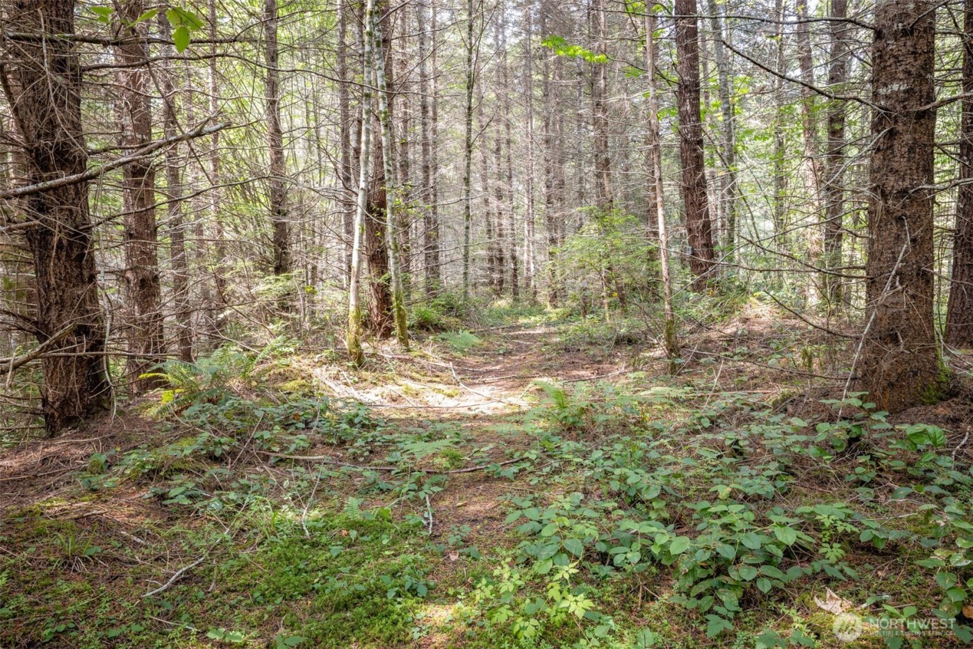 101 Wild Blackberry Lane , Port Angeles, WA 98363