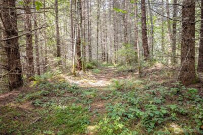 101 Wild Blackberry Lane , Port Angeles, WA 98363