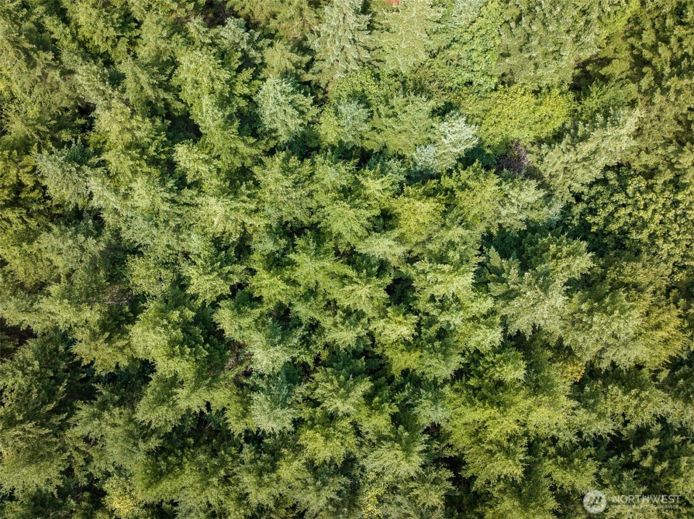 101 Wild Blackberry Lane , Port Angeles, WA 98363