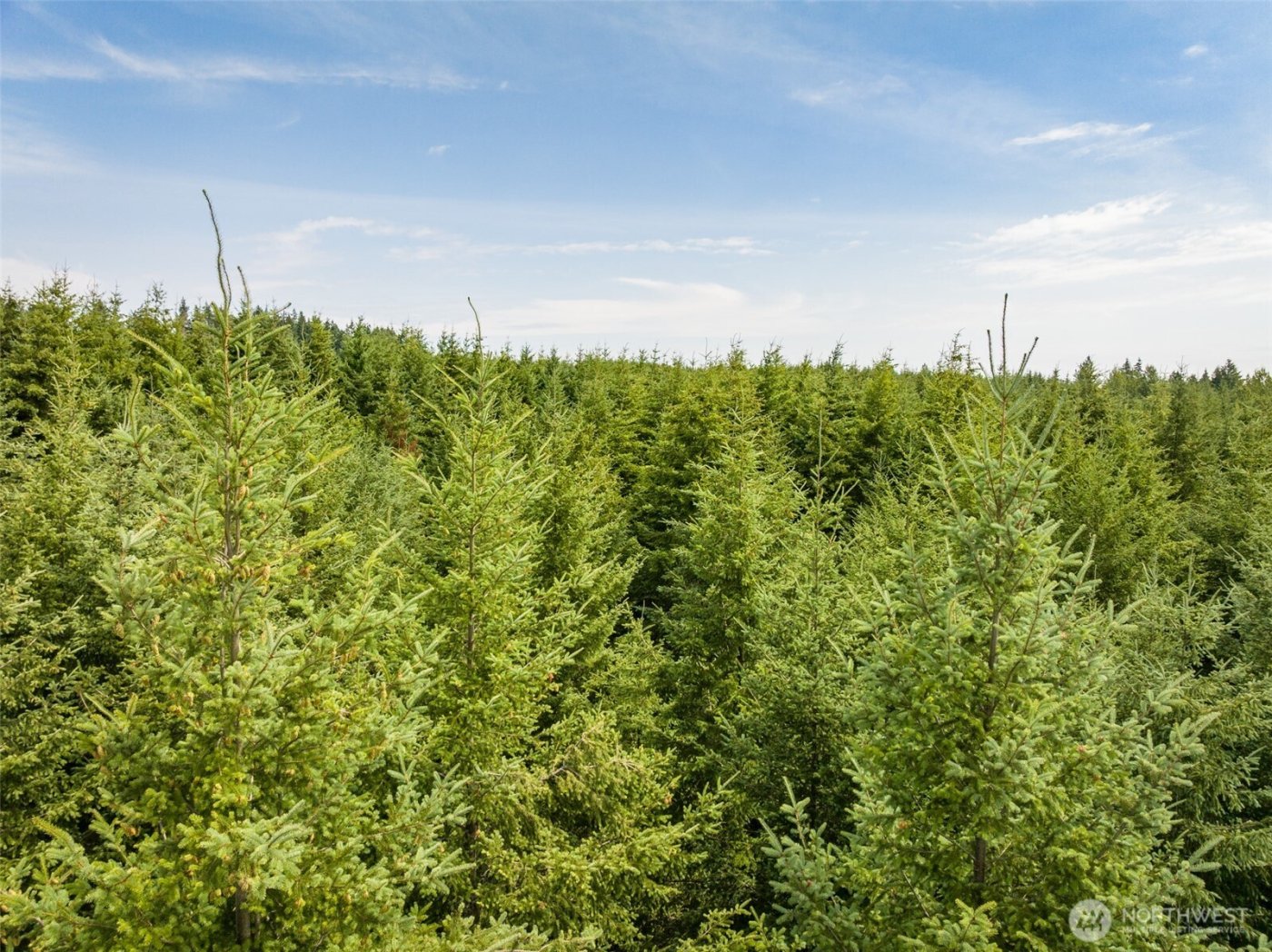 101 Wild Blackberry Lane , Port Angeles, WA 98363