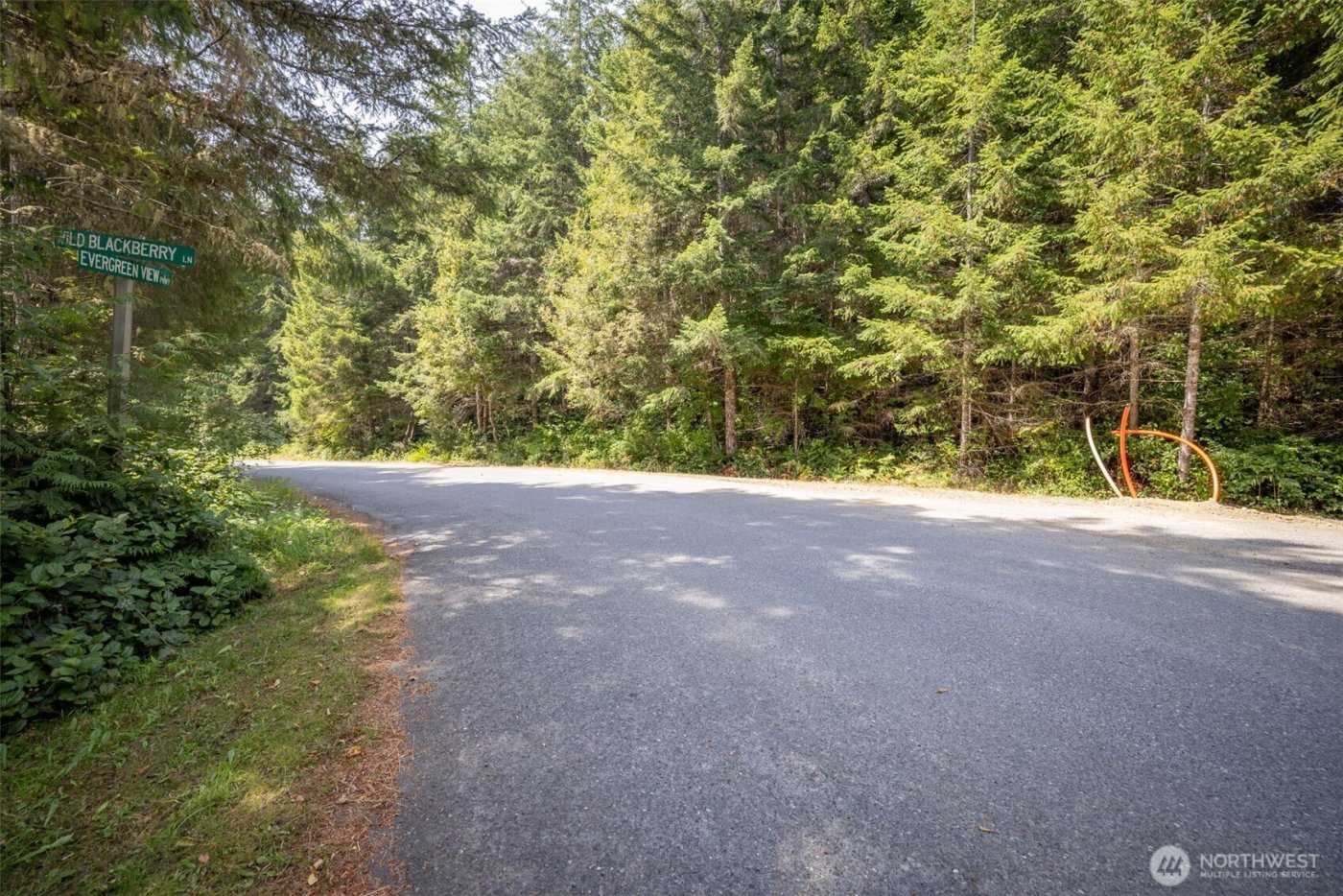 101 Wild Blackberry Lane , Port Angeles, WA 98363