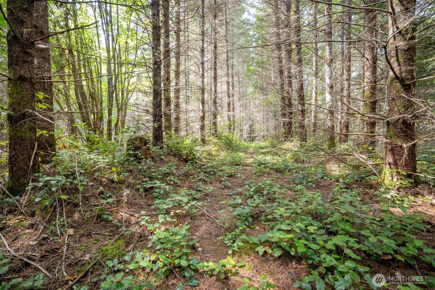 101 Wild Blackberry Lane , Port Angeles, WA 98363