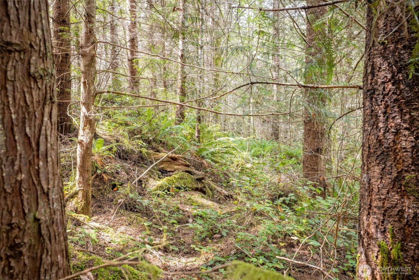 101 Wild Blackberry Lane , Port Angeles, WA 98363