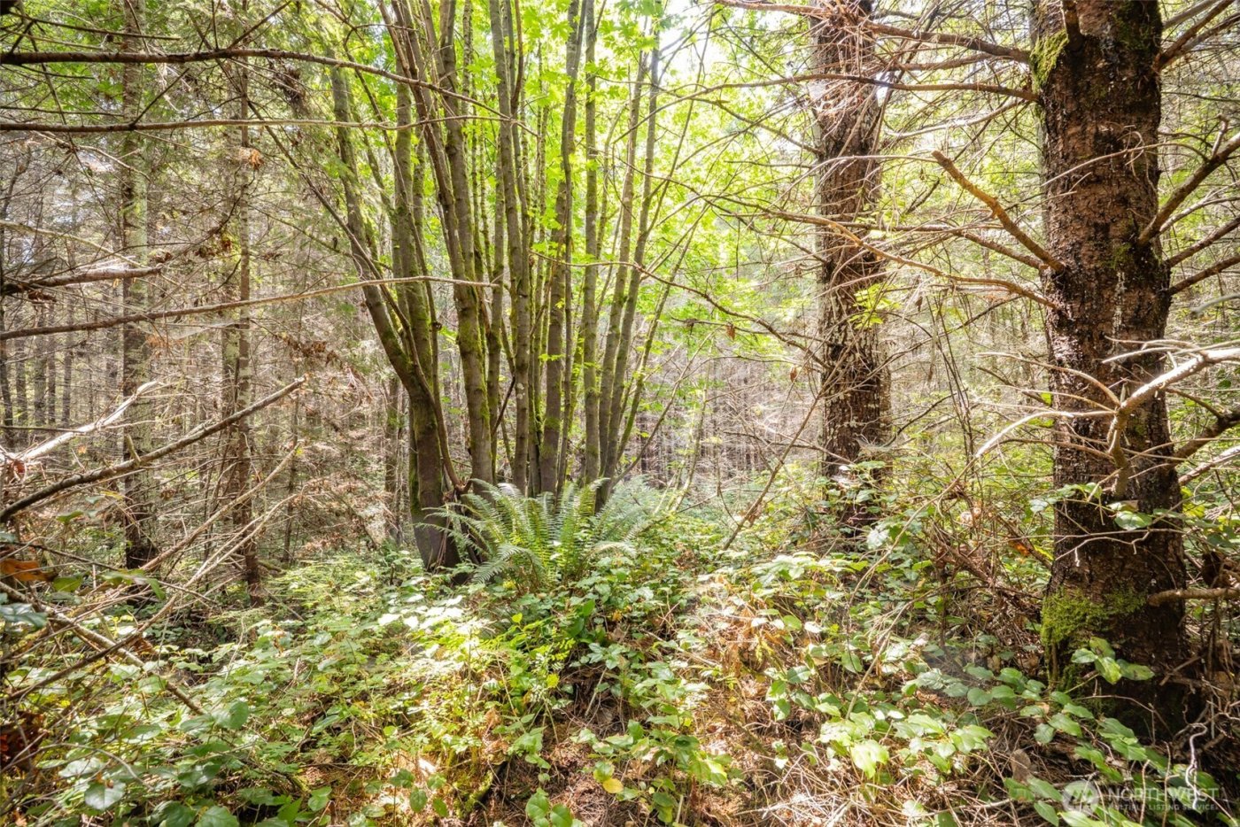 101 Wild Blackberry Lane , Port Angeles, WA 98363