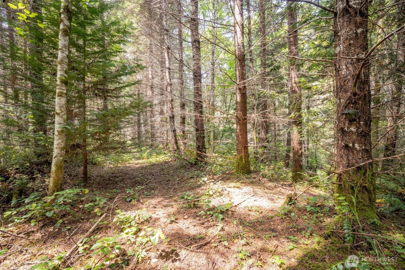 101 Wild Blackberry Lane , Port Angeles, WA 98363