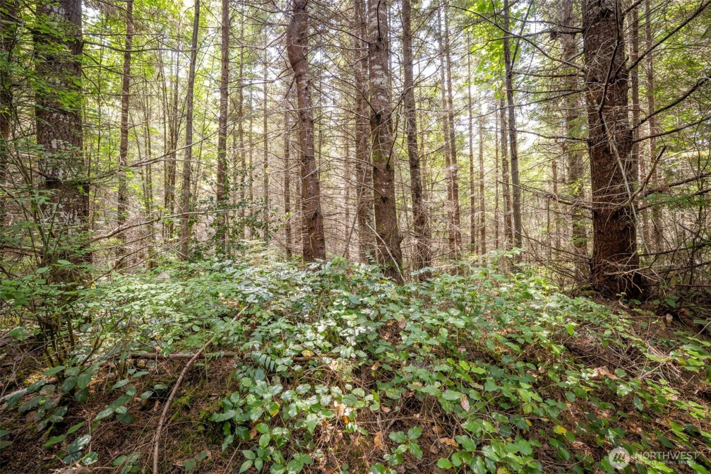 101 Wild Blackberry Lane , Port Angeles, WA 98363