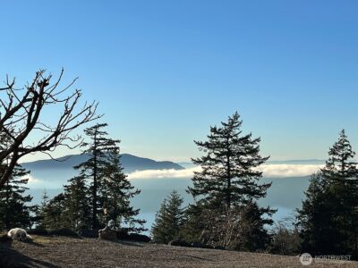 1656 Eagle Ridge Road , Orcas Island, WA 98245 - Photo 37