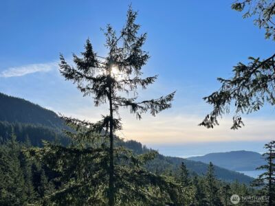 1656 Eagle Ridge Road , Orcas Island, WA 98245 - Photo 39