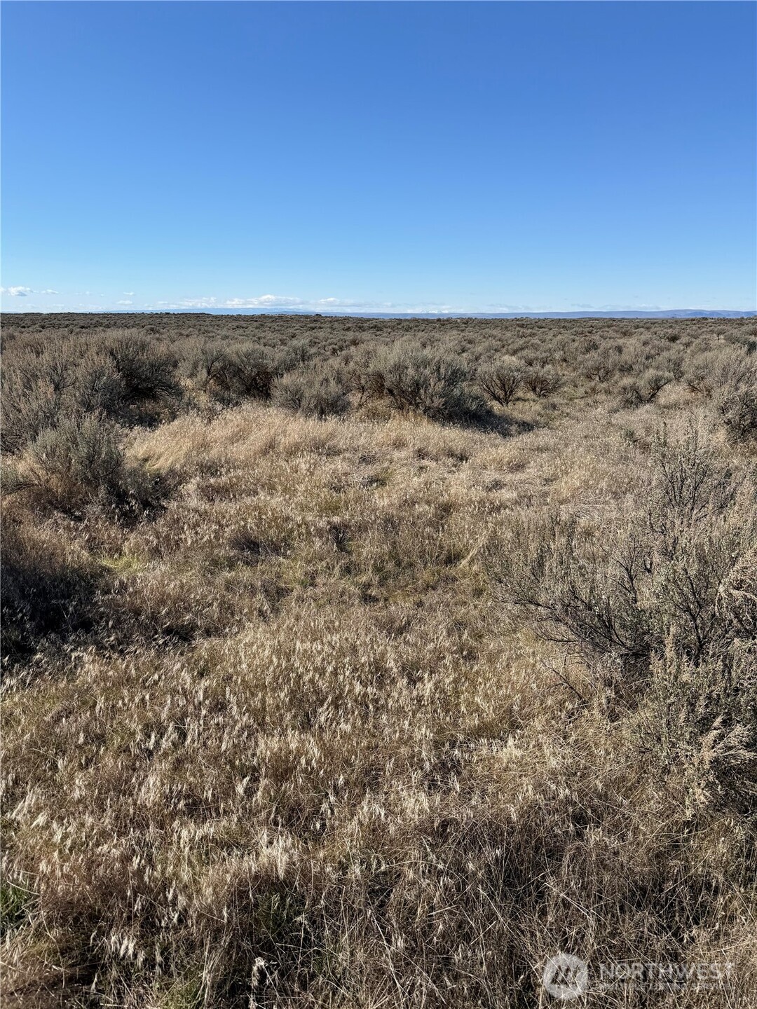 0 Lot 225 Eagle Springs Ranch , Wilson Creek, WA 98860