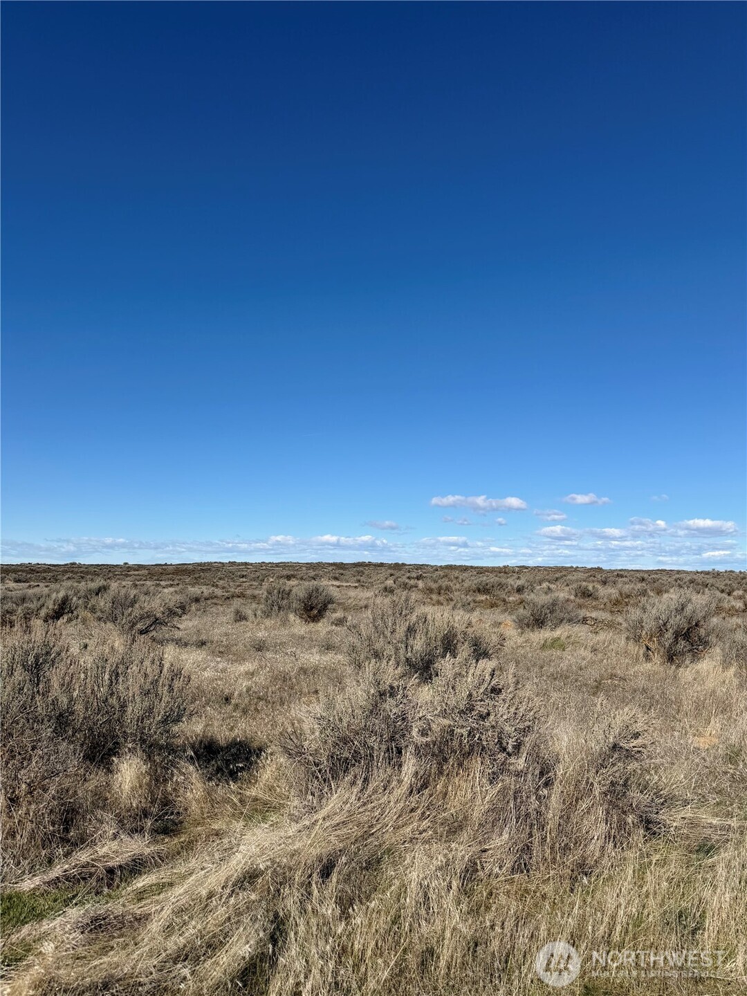 0 Lot 225 Eagle Springs Ranch , Wilson Creek, WA 98860
