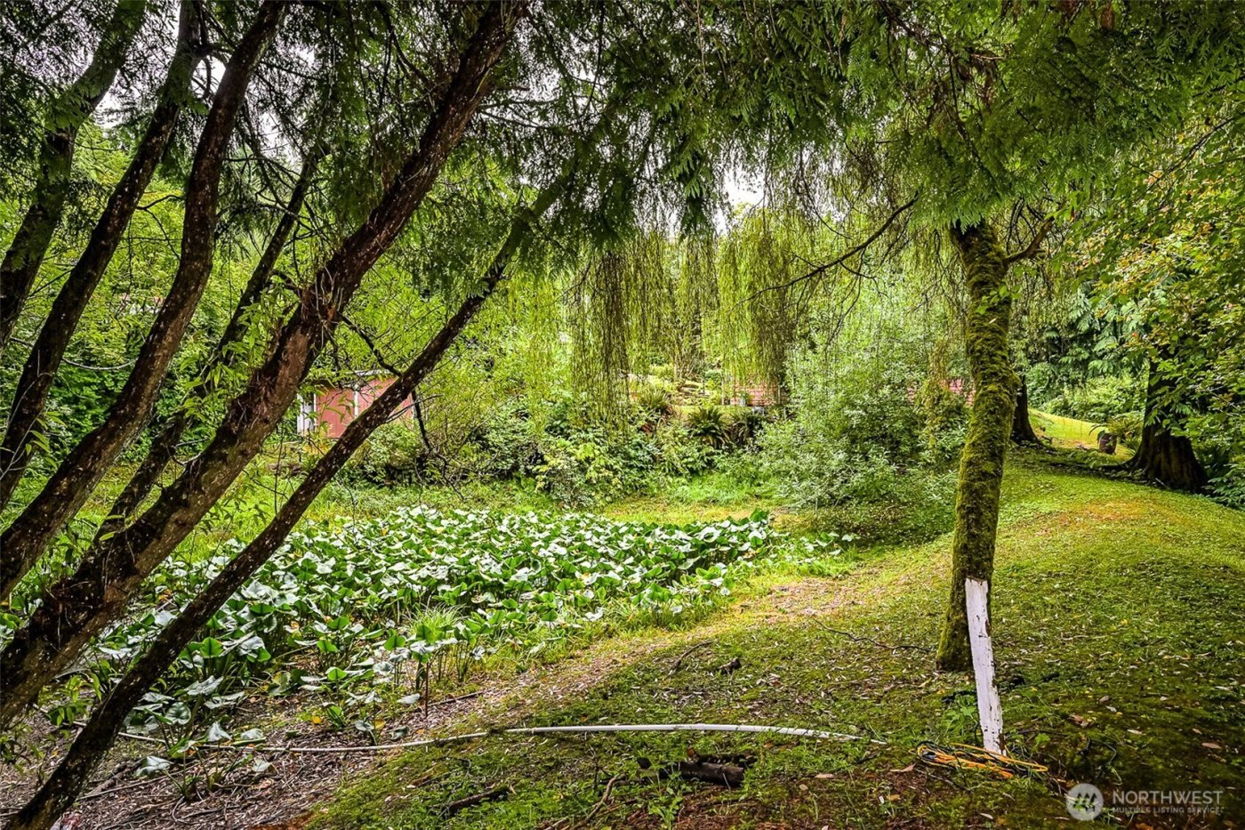 4802 Olympic Highway , Aberdeen, WA 98520