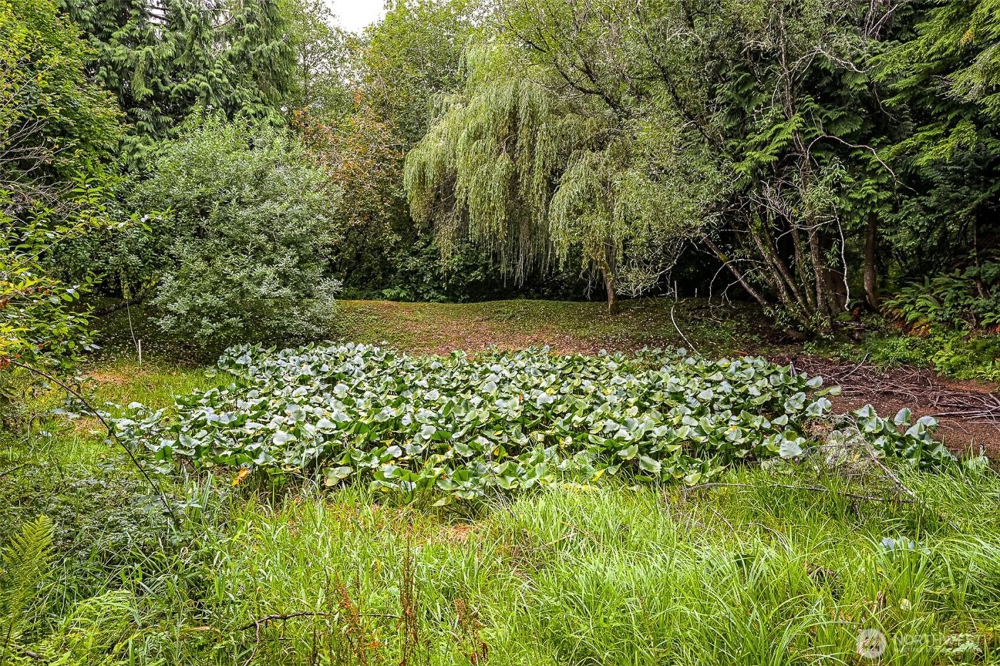 4802 Olympic Highway , Aberdeen, WA 98520