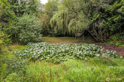 4802 Olympic Highway , Aberdeen, WA 98520 - Photo 31