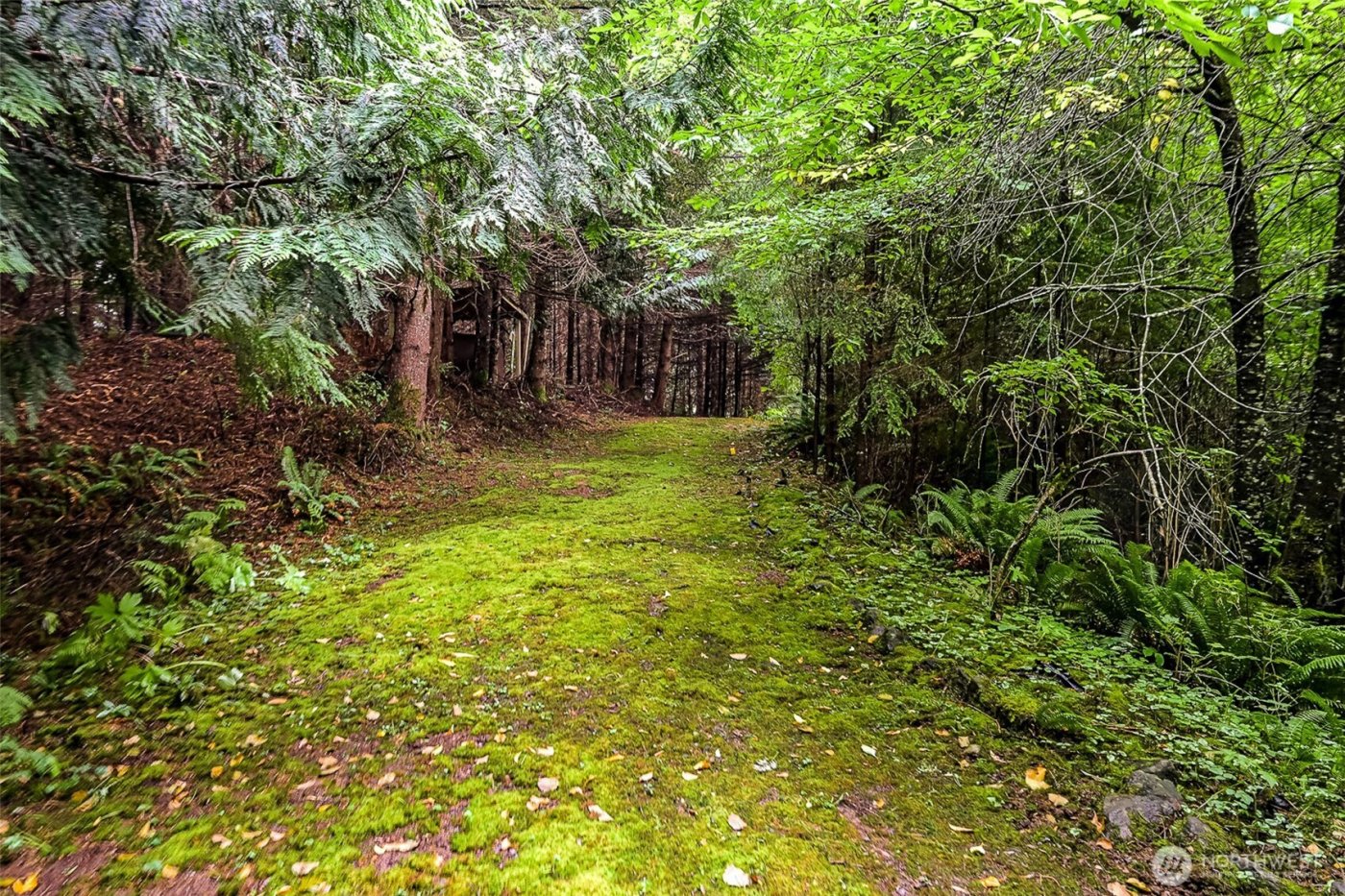 4802 Olympic Highway , Aberdeen, WA 98520