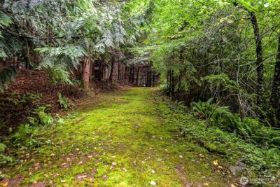 4802 Olympic Highway , Aberdeen, WA 98520 - Photo 34