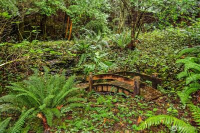 4802 Olympic Highway , Aberdeen, WA 98520 - Photo 35