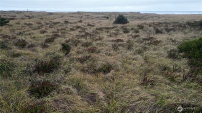 33707 G Street , Ocean Park, WA 98640 - Photo 19