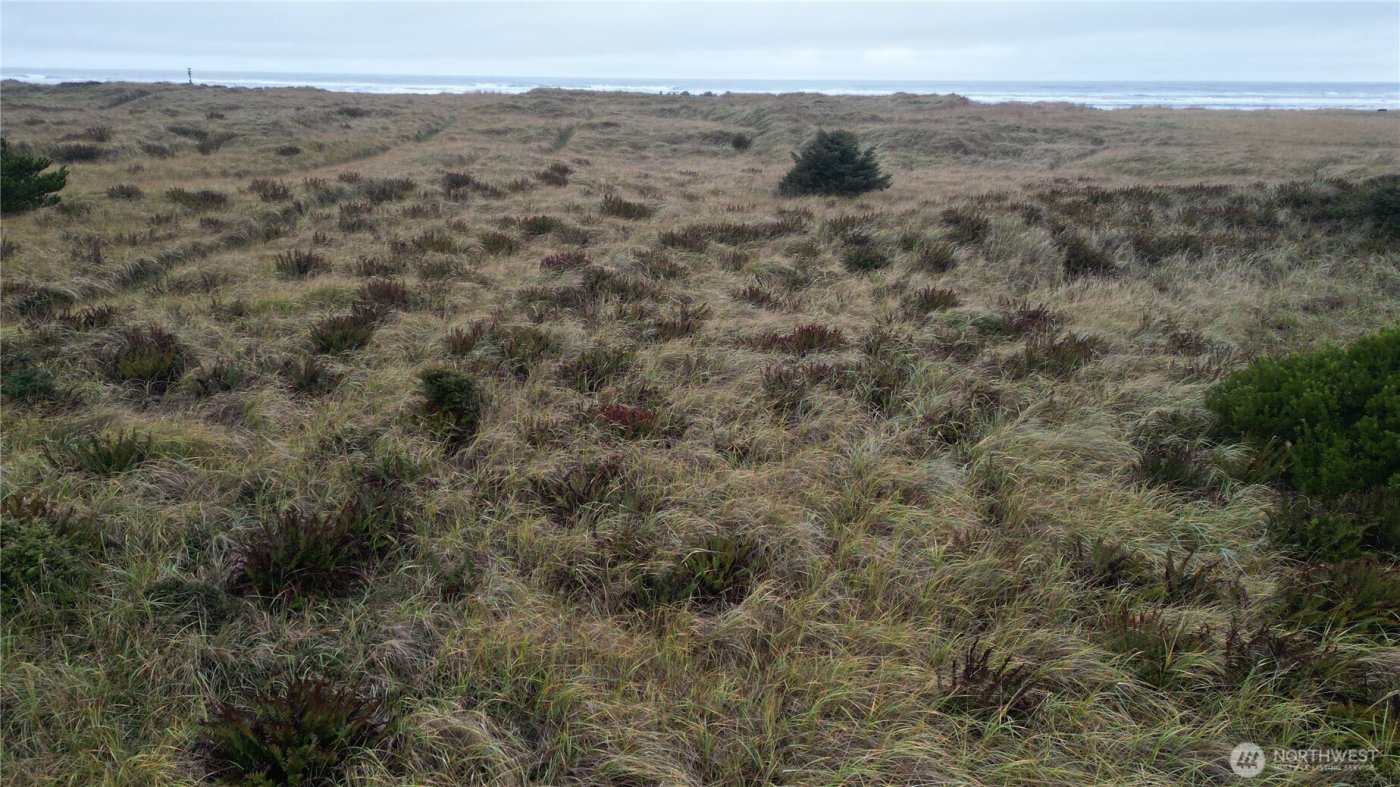 33707 G Street , Ocean Park, WA 98640