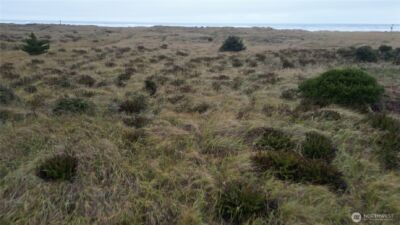 33707 G Street , Ocean Park, WA 98640 - Photo 21