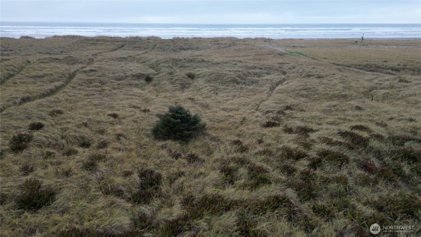 33707 G Street , Ocean Park, WA 98640