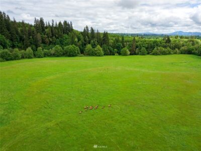 732 Satsop Road W, Montesano, WA 98563 - Photo 28