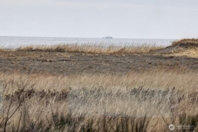 31905 G Street , Ocean Park, WA 98640 - Photo 7