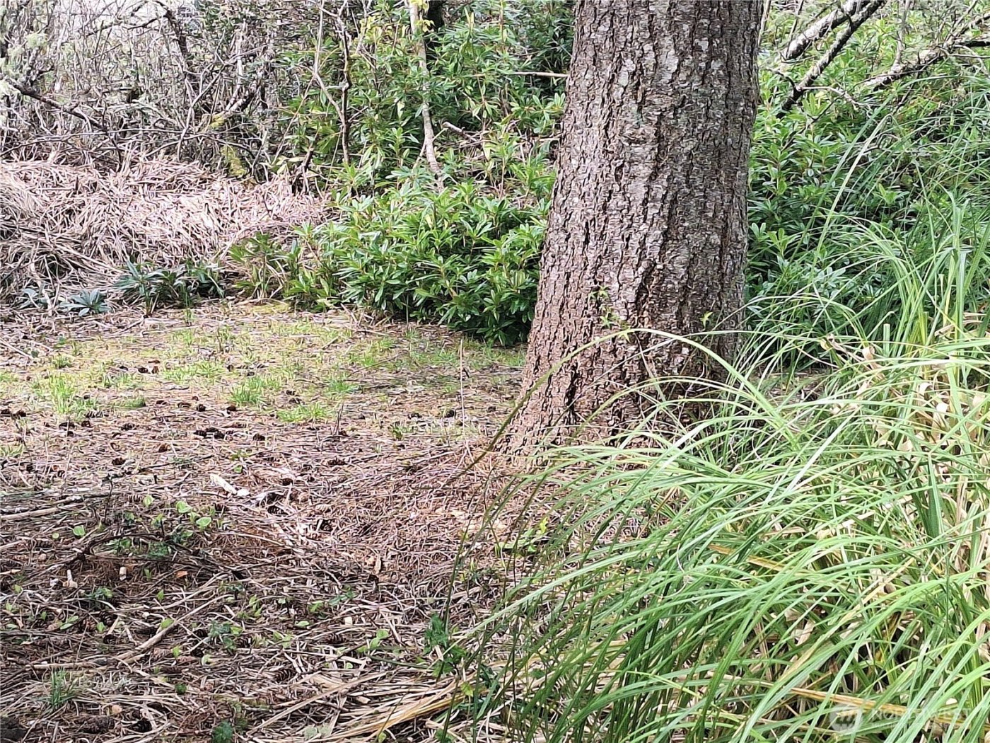 818 W Ocean Avenue , Westport, WA 98595