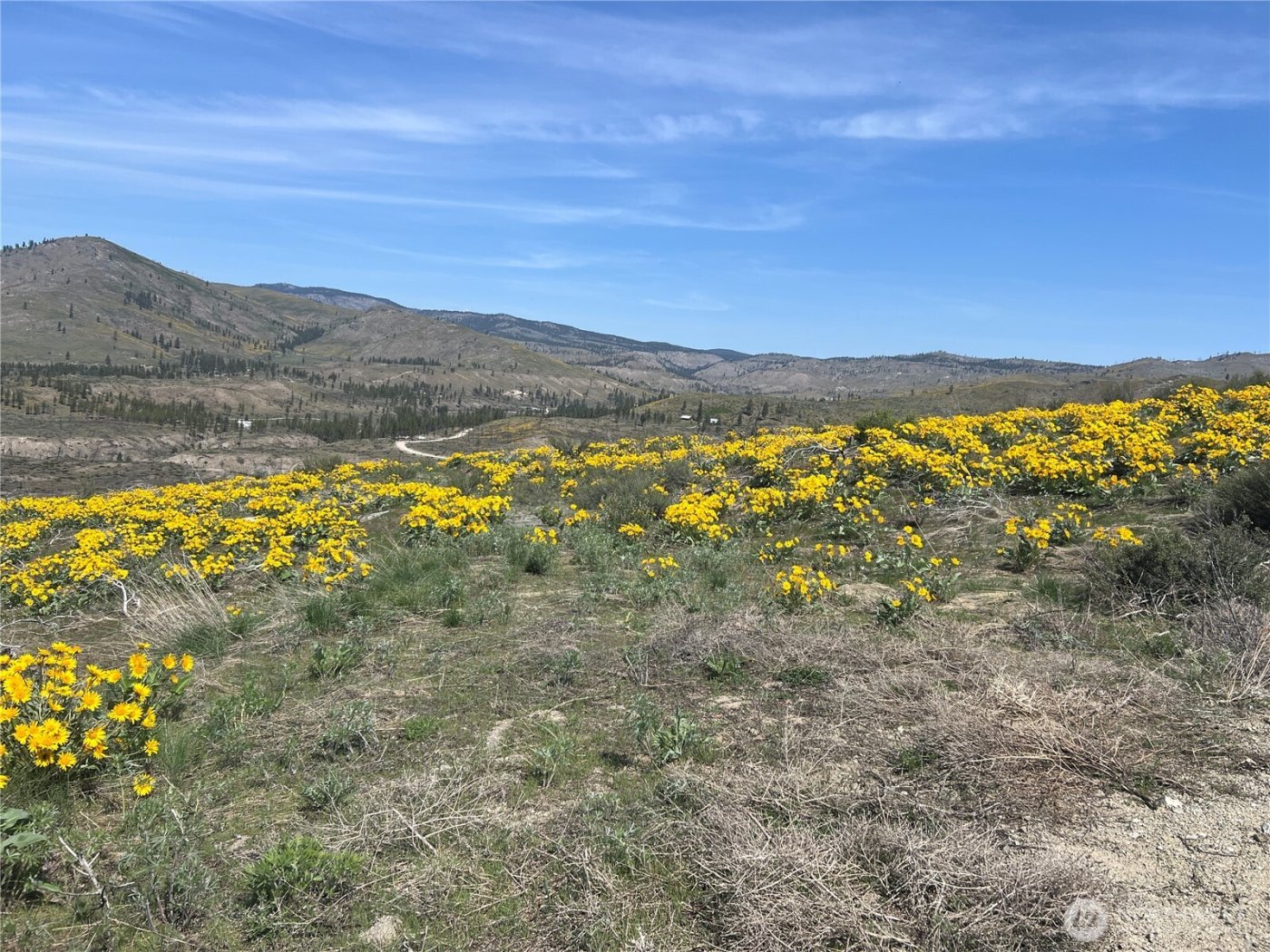 0 Lot 4 High Ranch Rd. , Methow, WA 98834